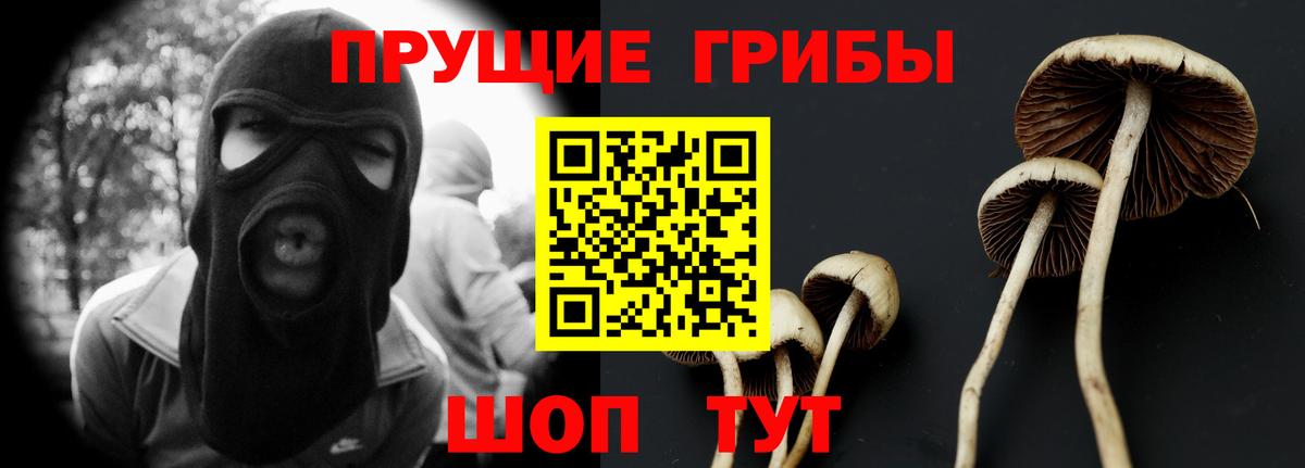 Псилоцибиновые грибы Psilocybe Первоуральск